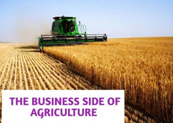 The Business Side of Agriculture