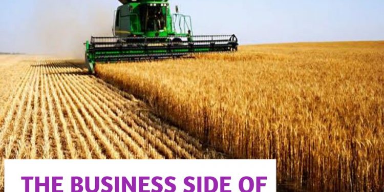The Business Side of Agriculture
