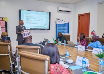 SMEDAN Partners GIZ SEDIN and Others to Train MSMEs for Growth and Sustainability