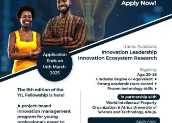 Call For Applications: YIL Fellowship 2025: Leadership & Innovation Program for Young African Professionals (Fully Funded)