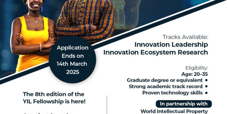 Call For Applications: YIL Fellowship 2025: Leadership & Innovation Program for Young African Professionals (Fully Funded)
