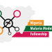 Call For Applications: Nigeria Malaria Modelling Fellowship (MMF) 2025 (Fully-funded)