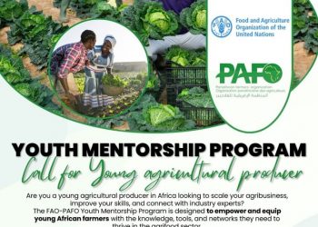 Call For Applications: UN FAO-PAFO Youth Mentorship Program 2025