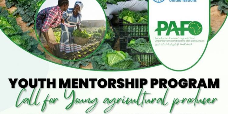 Call For Applications: UN FAO-PAFO Youth Mentorship Program 2025