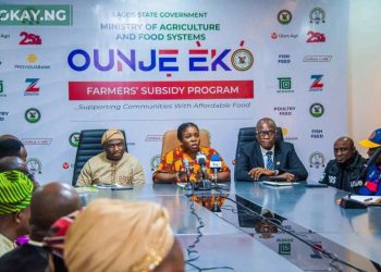 Lagos Unveils N500 Million Farmers' Subsidy to Tackle Food Inflation