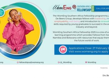 Call For Applications: WomEng Southern Africa Fellowship 2025