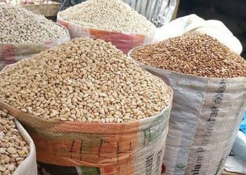 Nigeria’s Bean Prices Plunge 37%, Easing Pressure on Consumers