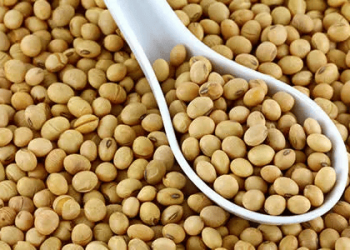 Nigeria Strikes $10 Million Deal to Export Premium Meat and Soybeans