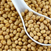Nigeria Strikes $10 Million Deal to Export Premium Meat and Soybeans