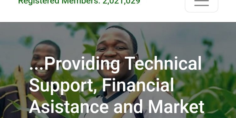 Call For Applications: Federal Government Youth Economic Intervention & Deradicalization Program (YEIDEP) (Access to Business Financing ,Loan & Enterprise Development)