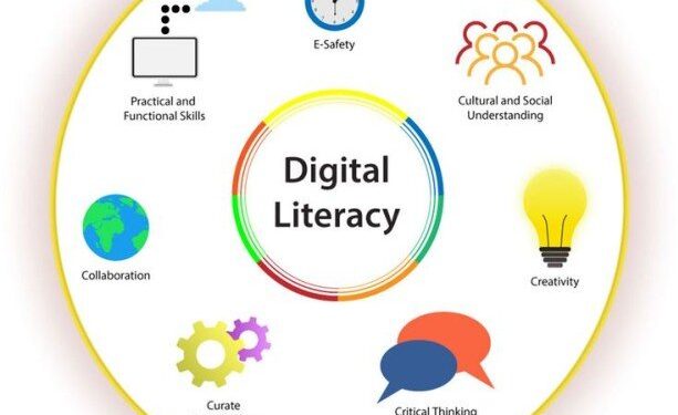 Digital Literacy: The Axiom to a Digital Economy