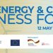 Call For Applications: UfM Energy & Climate Business Forum 2025: Deal-Making Workshops & Elevator Pitches for Entrepreneurs Advancing Green Innovation