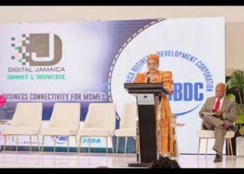 Jamaica Pushes MSMEs to Go Digital for Growth