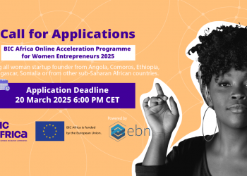 Call for Applications: BIC Africa Online Acceleration Program 2025 for Women Entrepreneurs