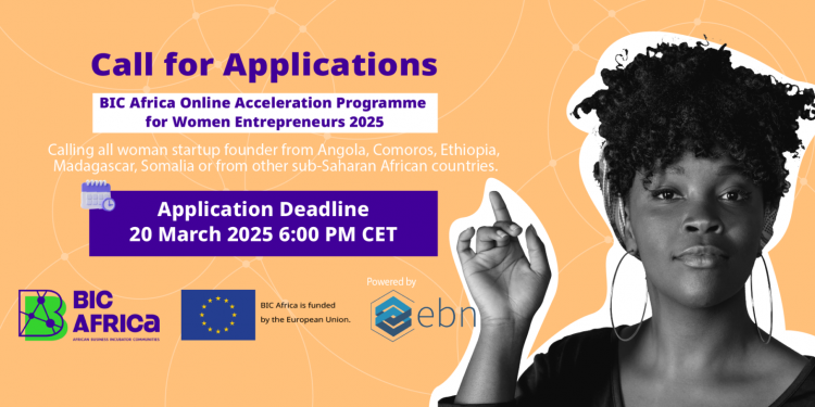 Call for Applications: BIC Africa Online Acceleration Program 2025 for Women Entrepreneurs