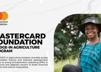 Call For Applications: Mastercard Foundation BRIDGE-in Agriculture Program 2025 For SMEs