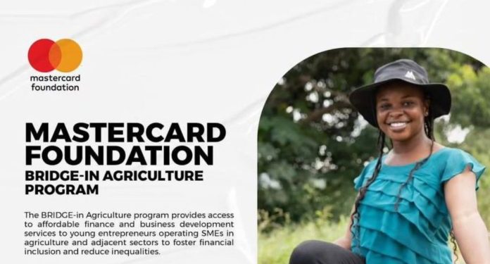 Call For Applications: Mastercard Foundation BRIDGE-in Agriculture Program 2025 For SMEs