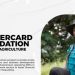 Call For Applications: Mastercard Foundation BRIDGE-in Agriculture Program 2025 For SMEs