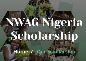 Call For Applications: Nigerian Women Association of Georgia Scholarship Program 2025 For Nigerians(Up to $300 / N456,000 Grants)