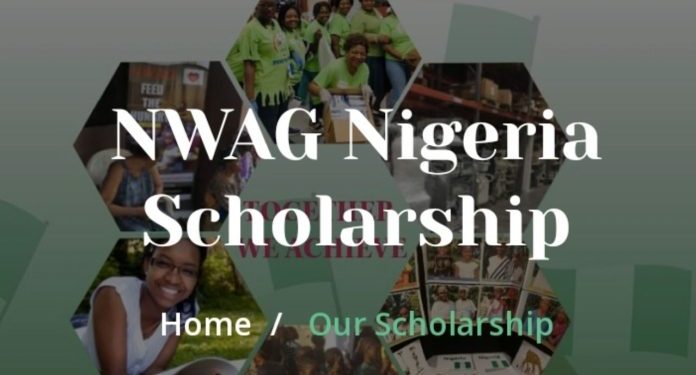 Call For Applications: Nigerian Women Association of Georgia Scholarship Program 2025 For Nigerians(Up to $300 / N456,000 Grants)