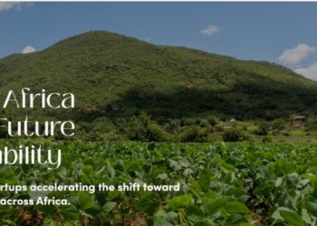Call for Applications: Greentech Africa Investment Readiness Accelerator Program 2025 for Early-stage African Startups