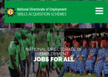 Call For Applications: National Directorate of Employment (NDE) Skill Acquisition Program