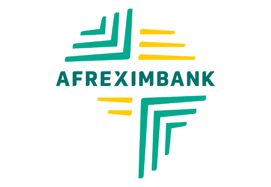 Investment in Manufacturing, Infrastructure will Unlock Africa’s Economic Potential – Afreximbank