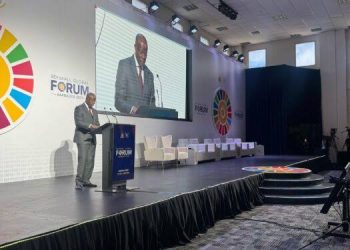 Nigeria Seeks Private Investment to Boost Energy Sector at SEforALL Forum
