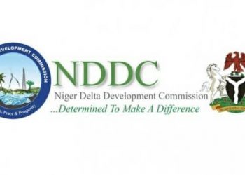 NDDC Empowers 300 Rice Farmers with N60 Million Support Package