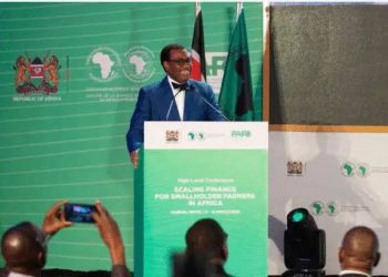AfDB Unveils $500 Million Facility to Boost Smallholder Farming in Africa