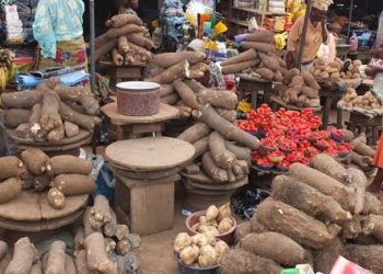 Food Prices Drop in Abuja, But Cost of Yam, Pepper, and Plantain Soar