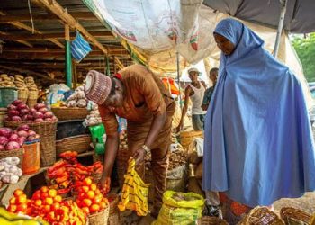 Nigerian Traders, Drivers Demand Unified Tax System to End Multiple Levies