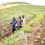 FG Allocates N10bn to Boost Commercial Agriculture in Universities images (65)