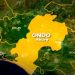 Ondo State Secures 10,000 Hectares for $200 Million Agricultural Projects
