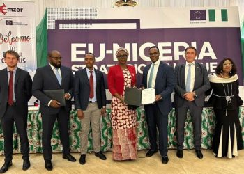 Emzor’s $23m API Plant To Begin Local Production In Q4