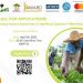 Call For Applications: Young Impact Associates in Agrifood Systems Fellowship 2025 (Paid Fellowship for Africans)