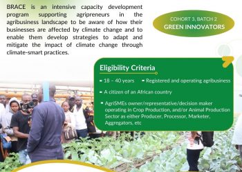 Call For Applications: African Food Changemakers BRACE Program Cohort 3, Batch 2 For African AgriSMEs