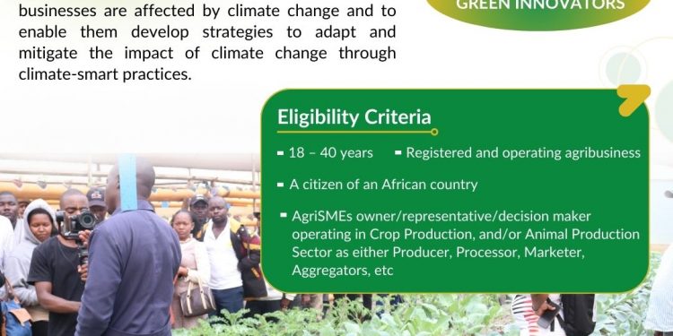 Call For Applications: African Food Changemakers BRACE Program Cohort 3, Batch 2 For African AgriSMEs