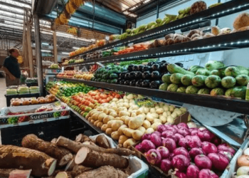 Adamawa State Government Invests N2 Billion to Combat Food Insecurity and Empower Youths