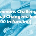 Call For Applications: New Commons Challenge 2025 for Global Changemakers (Up to $100,000 in funding)