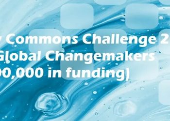 Call For Applications: New Commons Challenge 2025 for Global Changemakers (Up to $100,000 in funding)