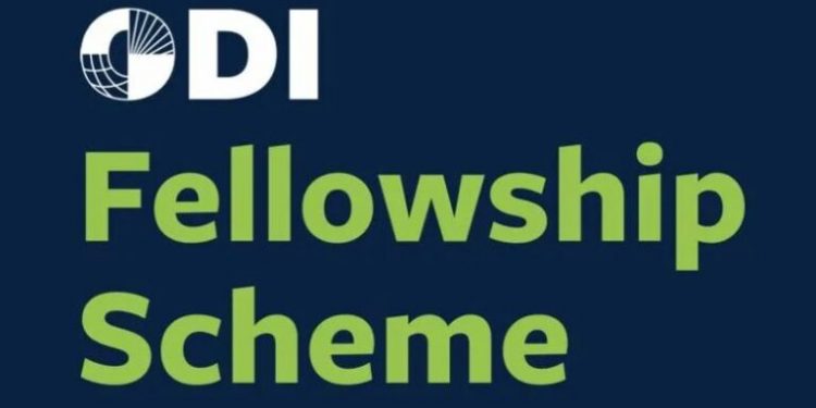 Call For Applications: Overseas Development Institute (ODI) Mission 300 Fellowship Program (Up to USD 54,000)