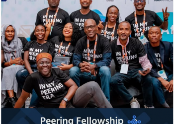 Call For Applications: Peering Fellowship for Internet Professionals