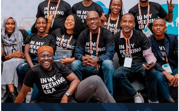 Call For Applications: Peering Fellowship for Internet Professionals