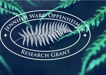 Call For Applications: Jennifer Ward Oppenheimer (JWO) Research Grant for Early-Career African Scientists (Up to $150,000 Grant)