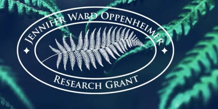 Call For Applications: Jennifer Ward Oppenheimer (JWO) Research Grant for Early-Career African Scientists (Up to $150,000 Grant)