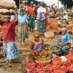 Nigeria’s Food Crisis Deepens Despite State of Emergency, Farmers Question Government Strategy