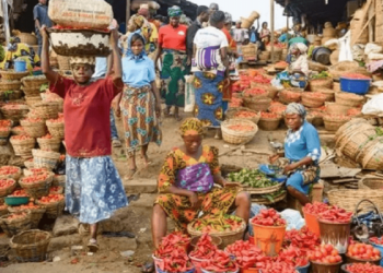 Nigeria’s Food Crisis Deepens Despite State of Emergency, Farmers Question Government Strategy