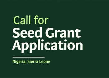 Call For Applications: WomenPower2030 Seed-Grant 2025 For Nigeria and Seirra Leone