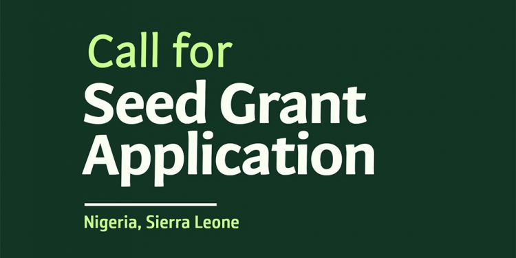 Call For Applications: WomenPower2030 Seed-Grant 2025 For Nigeria and Seirra Leone